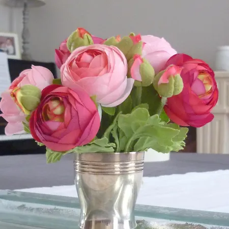 D'hotes Les Jardins De La Cathedrale 住宿加早餐酒店